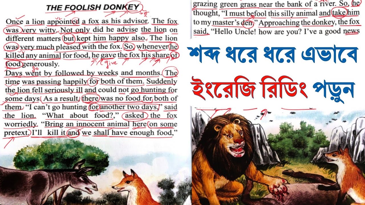 Word to word English reading and translation English to Bengali || the foolish donkey 