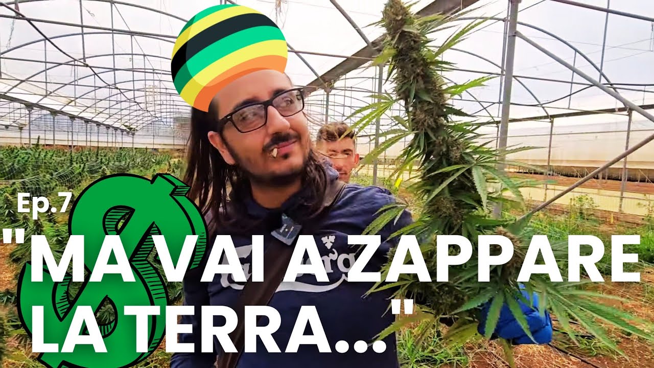 AGRICOLTURA INNOVATIVA: LAVORO UN GIORNO NELL'AZIENDA DI PIERFRANCESCO - Welcome to Terronia, ep.7