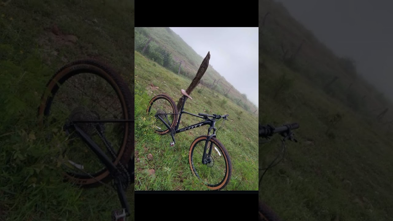 bicicletas Trek procaliber/ Scoot, vital . 