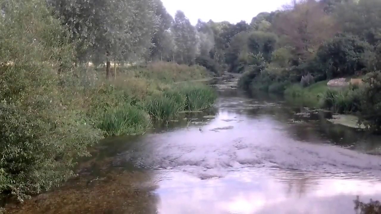 Spetisbury Dorset bimble