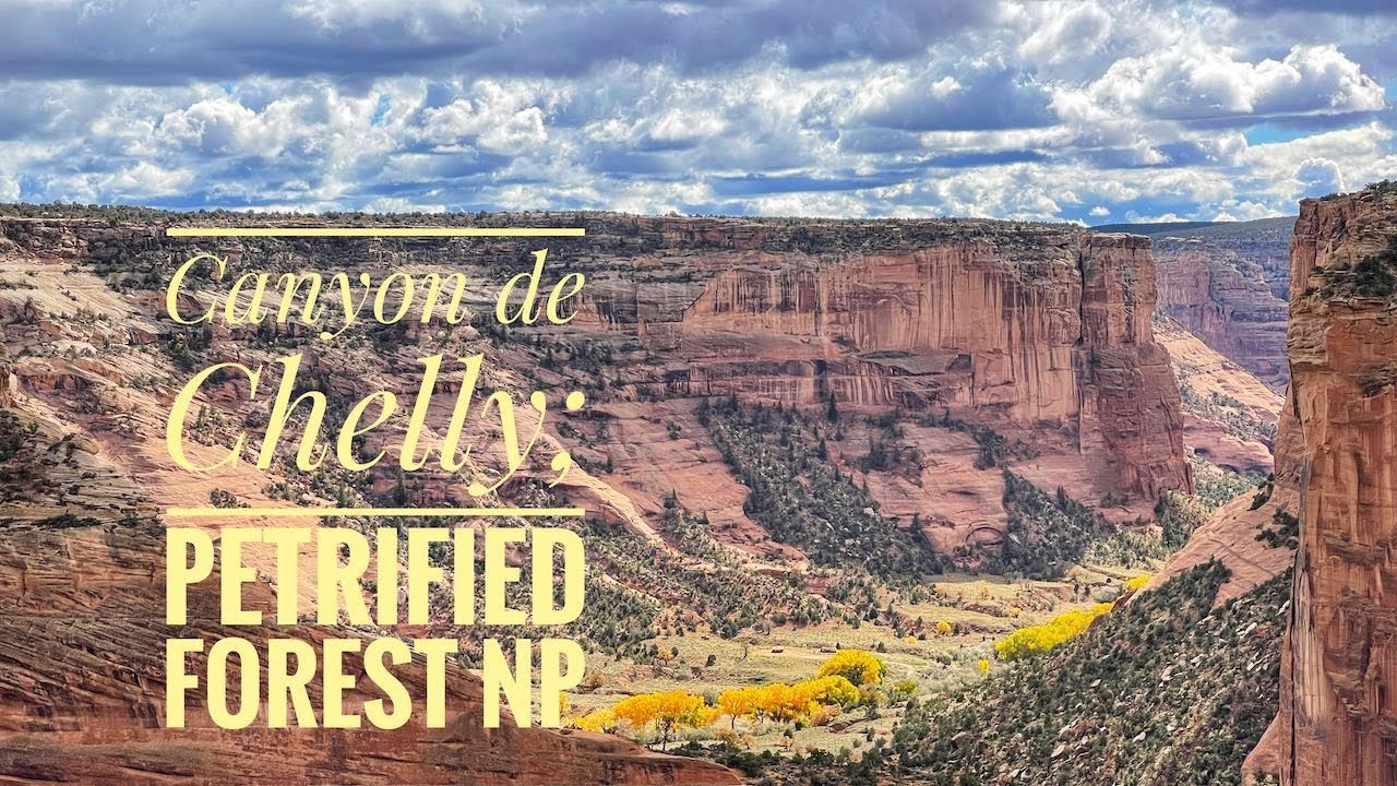 Canyon de Chelly and Petrified Forest