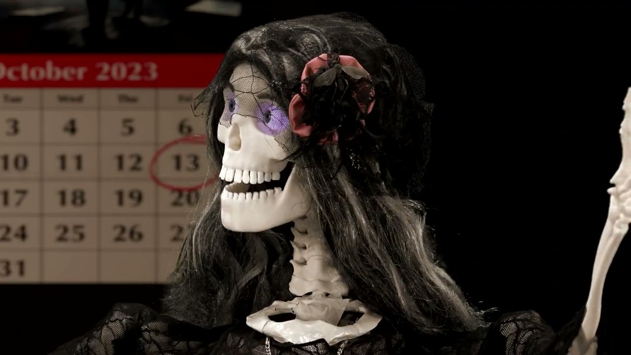 Sindy Skinless and the Decomposers   Superstitions 2024