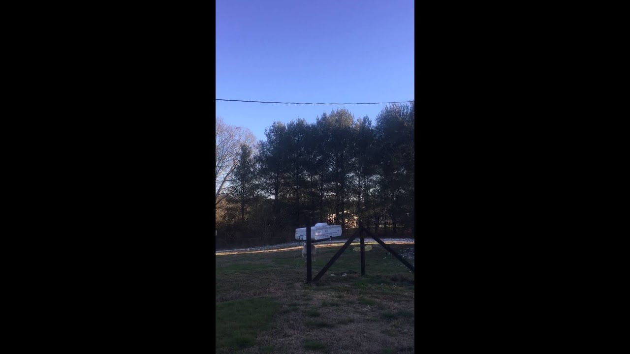 Bird caught on fishing line
