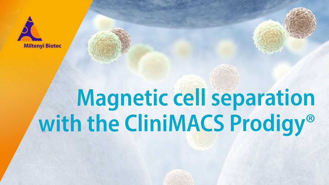 How does the CliniMACS Prodigy&reg; perform magnetic cell separation?