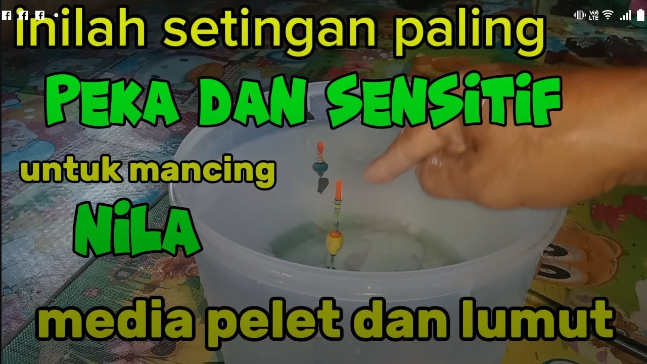 TUTORIAL LENGKAP.. cara setting pancing yg benar untuk NILA media LUMUT & PELET