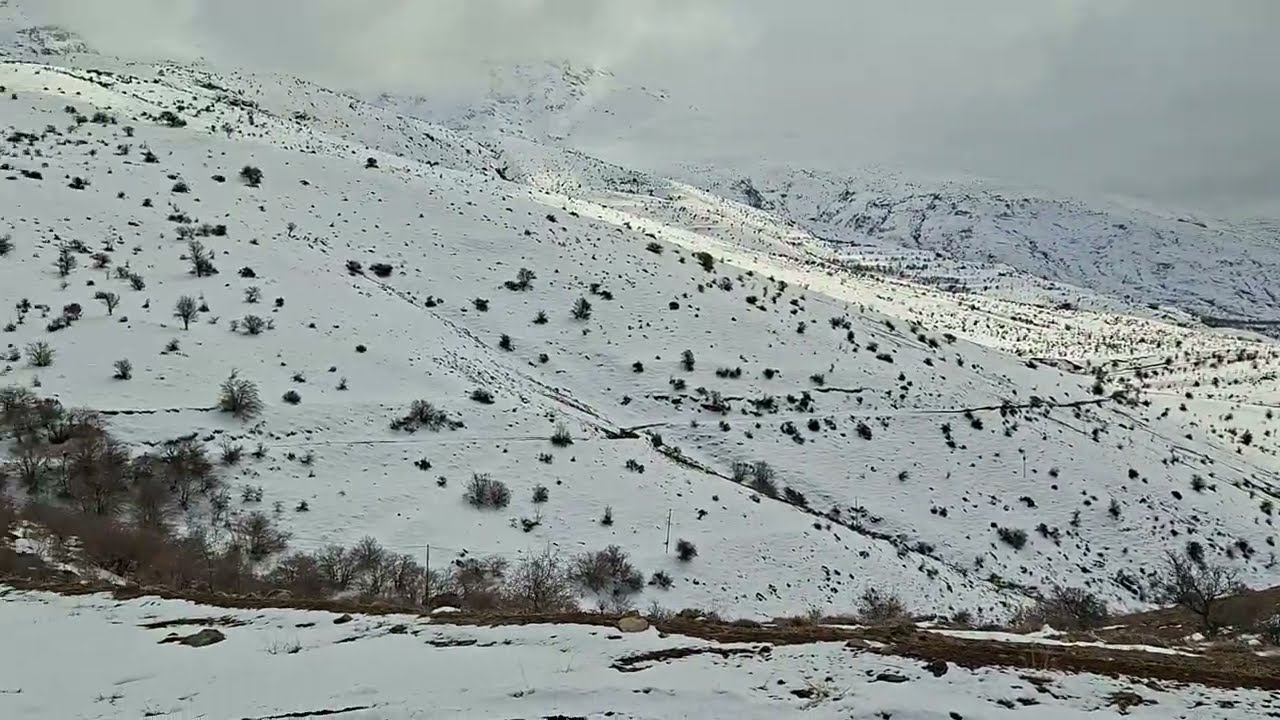 Yolüstü video