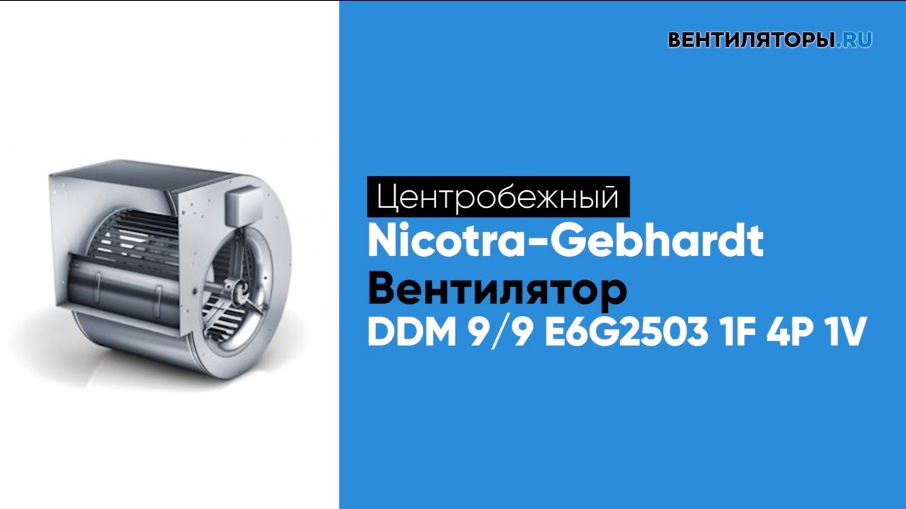Обзор вентилятора DDM 9/9 E6G2503 1F 4P 1V Nicotra Gebhardt | ВЕНТИЛЯТОРЫ.RU