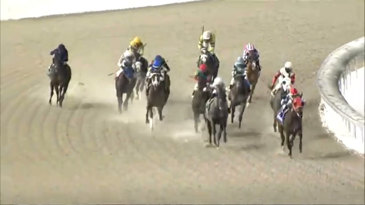 R 10 - TURFWAY PARK USA - 06 FEB 2026