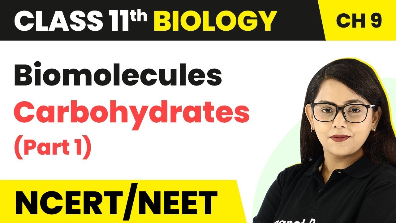 Carbohydrates (Part 1) Class 11 Biology | Biomolecules Carbohydrates | Class 11 Biology