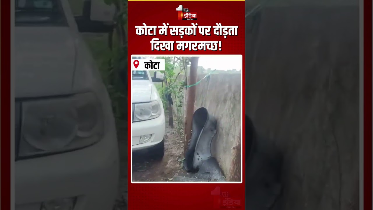 Crocodile In Kota: कोटा में सड़कों पर दौड़ता दिखा मगरमच्छ! | Rajasthan Forest Department | Rescue