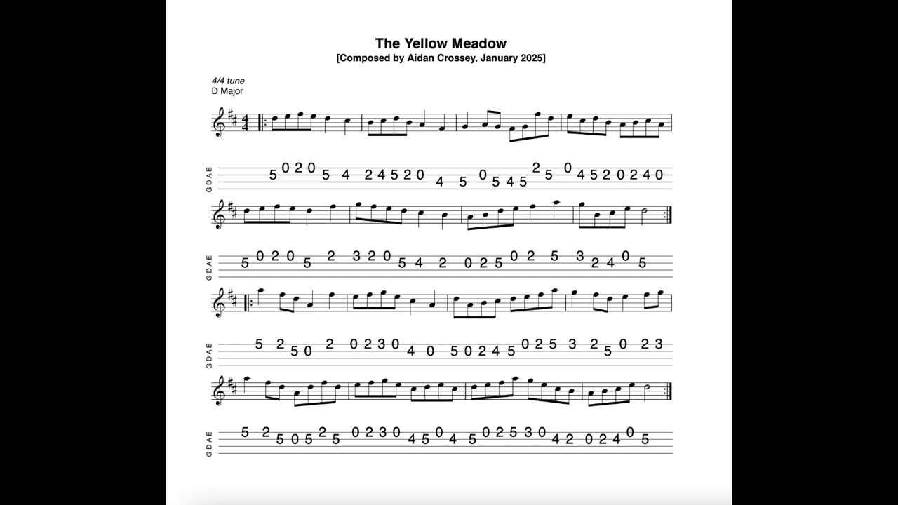 The Yellow Meadow REVISITED - a 4/4 tune in D Major composed, tabbed and played by Aidan Crossey