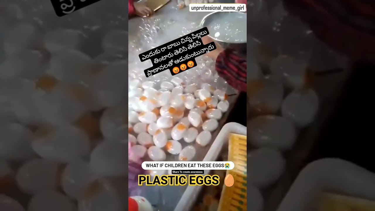 Plastic eggs 