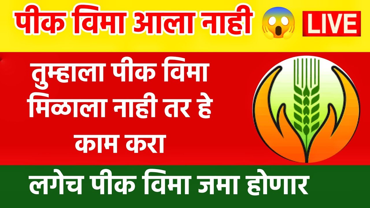 पीक विमा आला नाही? 😱 हे 1 काम करा | लगेच पैसे जमा 💸 LIVE | Pik Vima 2026 New Update | Pik Vima Vatap