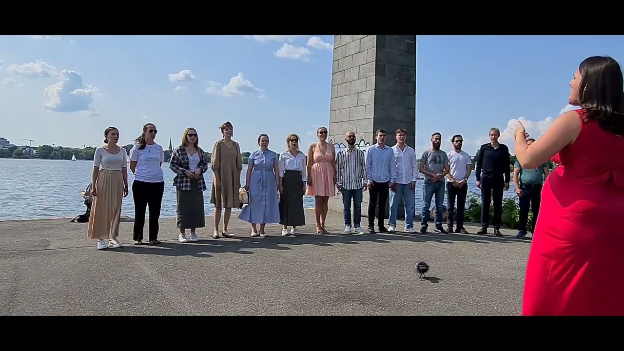 Flashmob - Alstersee, Hamburg