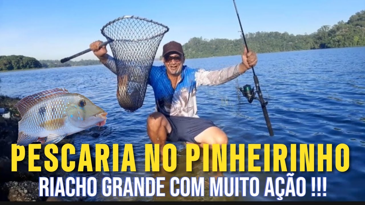 Pescaria de carpa no Pinheirinho Riacho Grande não dava nem tempo da isca bater na água.