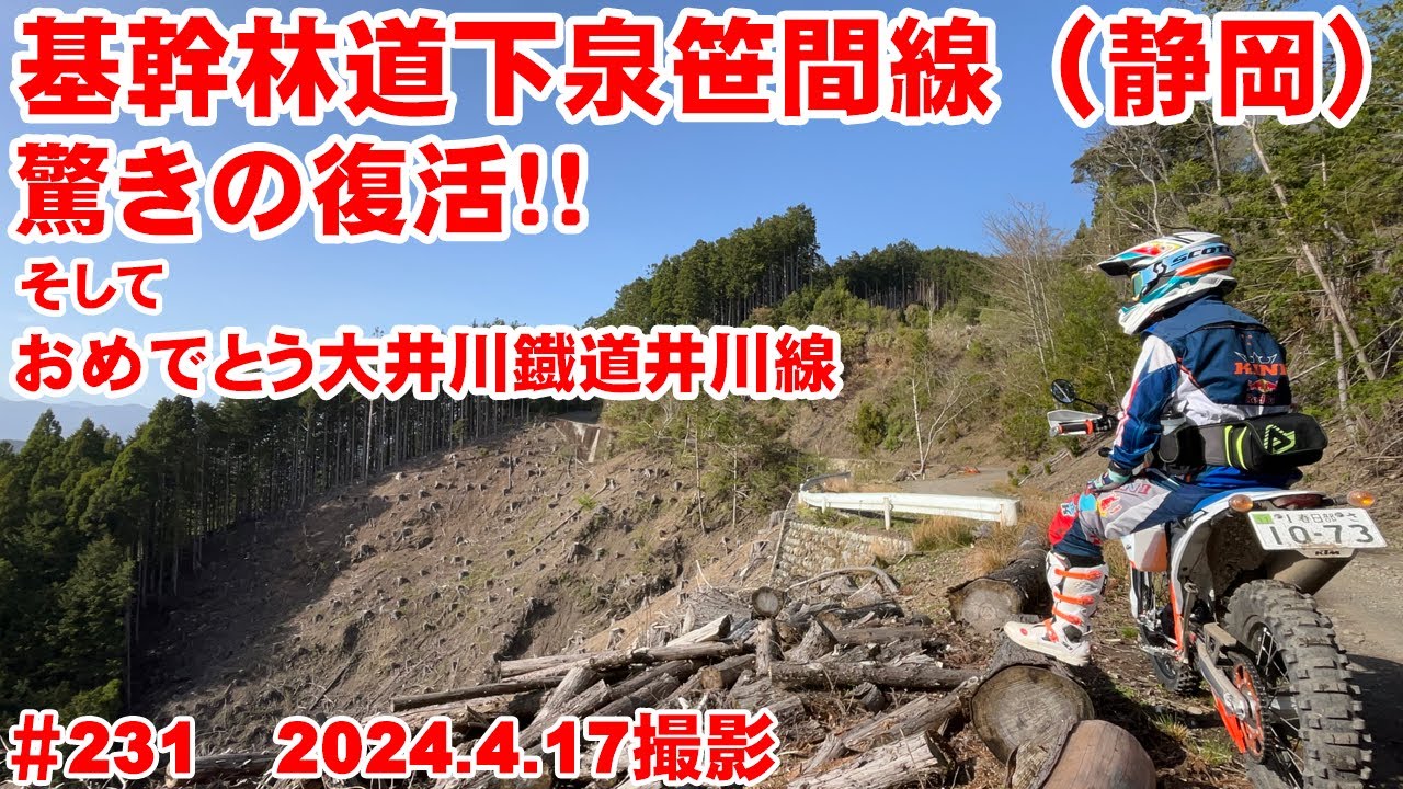 【2024全線映像】基幹林道下泉笹間線が脅威の復活！！【がんばれ大井川鐡道】