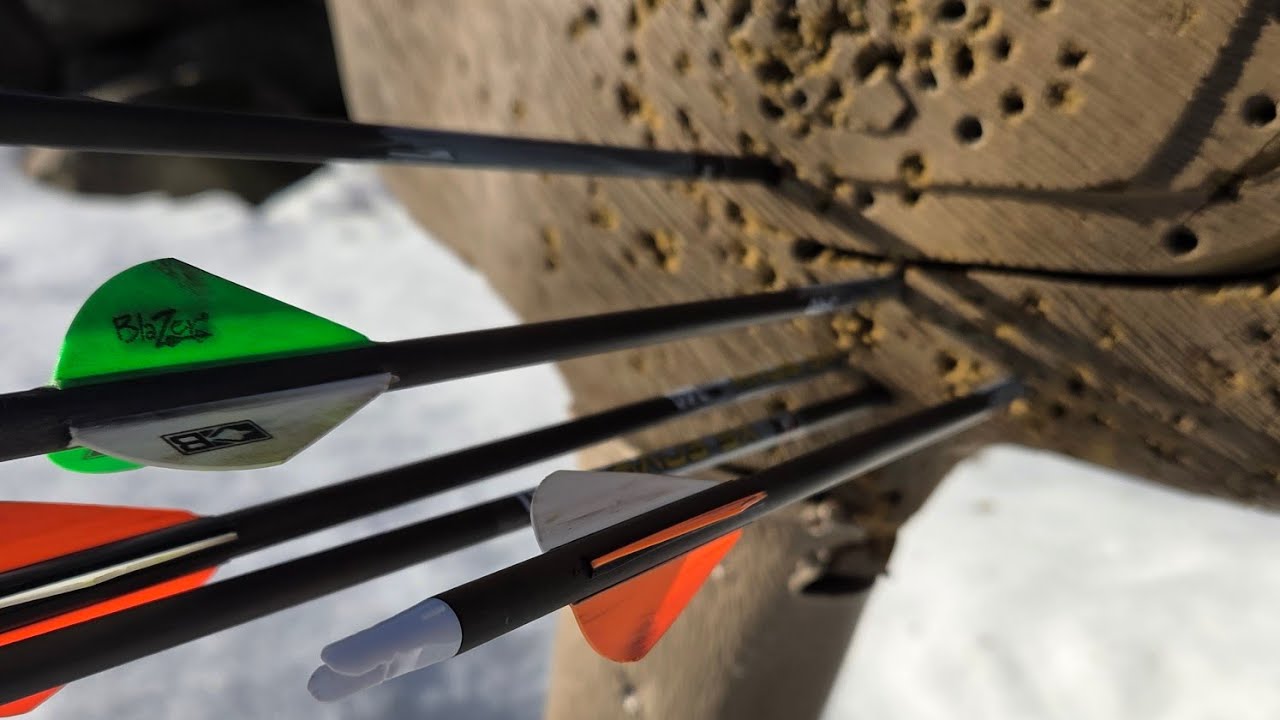 Everitt Archery Journey is live! #livestream #viral #live 