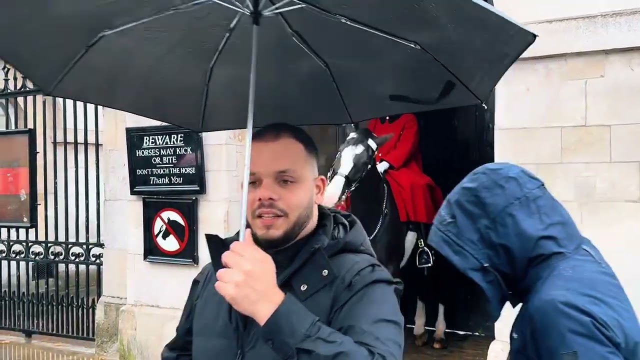 Unexpected Moment at Horse Guards London – Guard Removes Kid from Horse 😳🐴