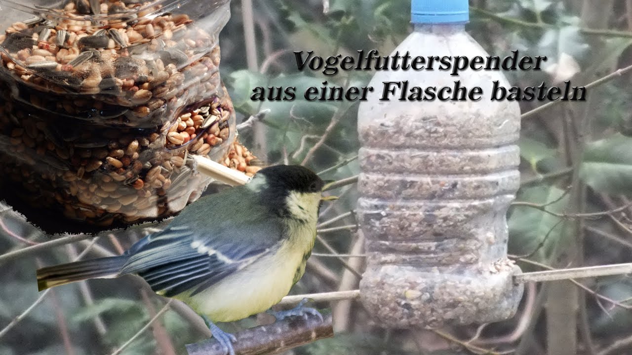 Vogelfutterspender aus einer Flasche basteln