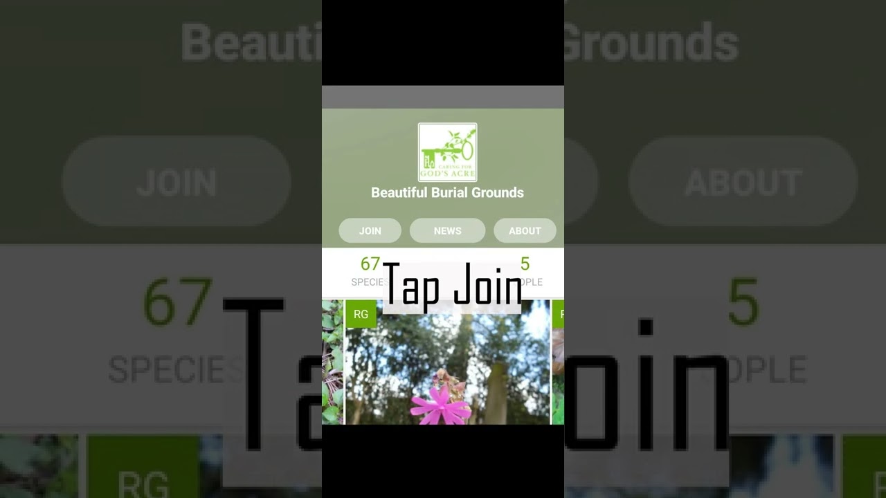 Submitting a burial grounds wildlife record using iNaturalist