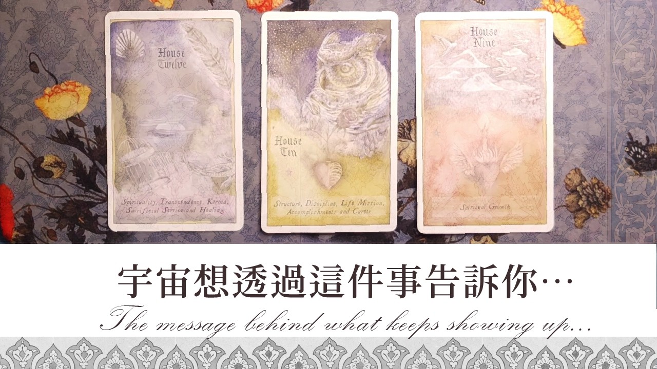 宇宙想透過反覆出現的人事物告訴你……🌙｜3選1｜大眾占卜｜宇宙訊息｜塔羅占卜｜月解讀EP4.