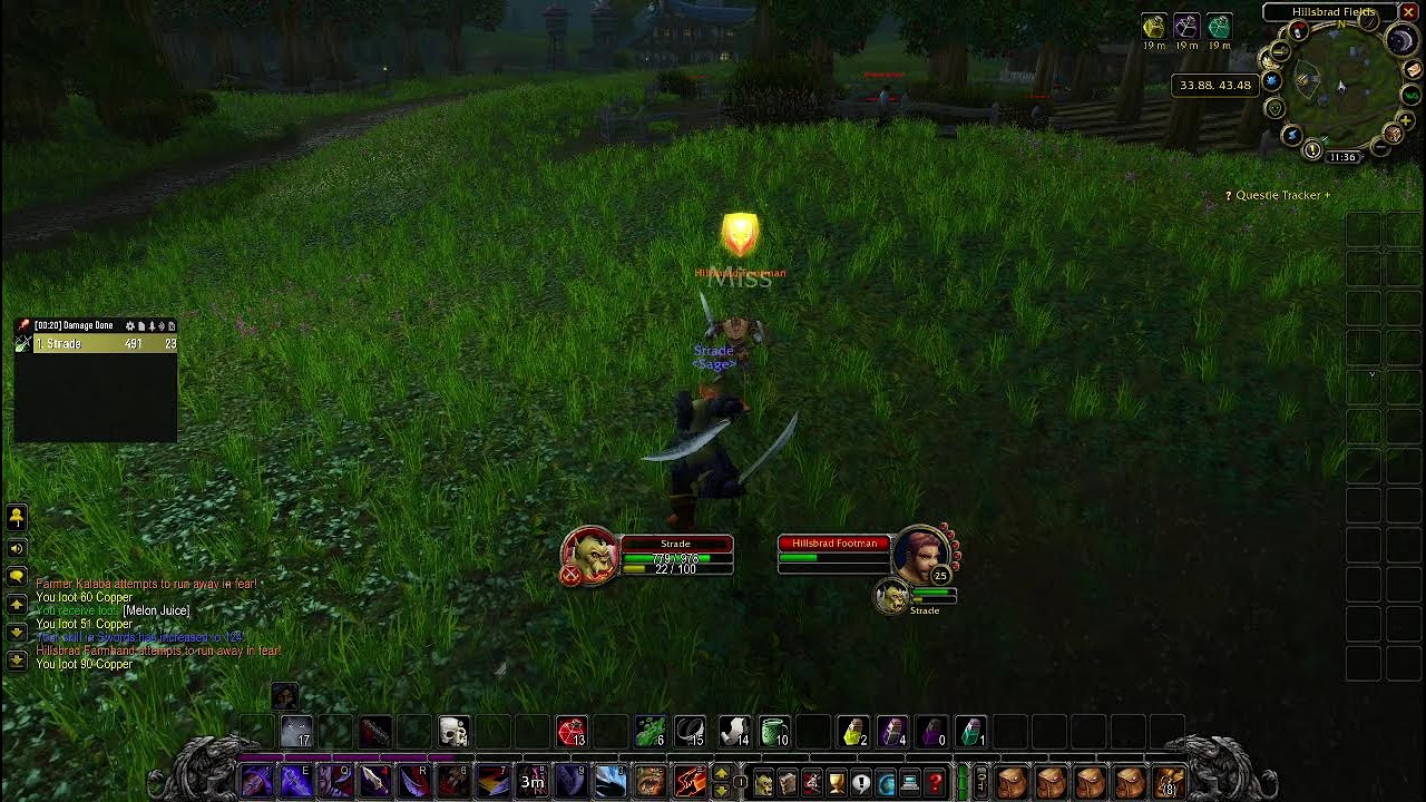 WoW Hardcore Leveling to 60!