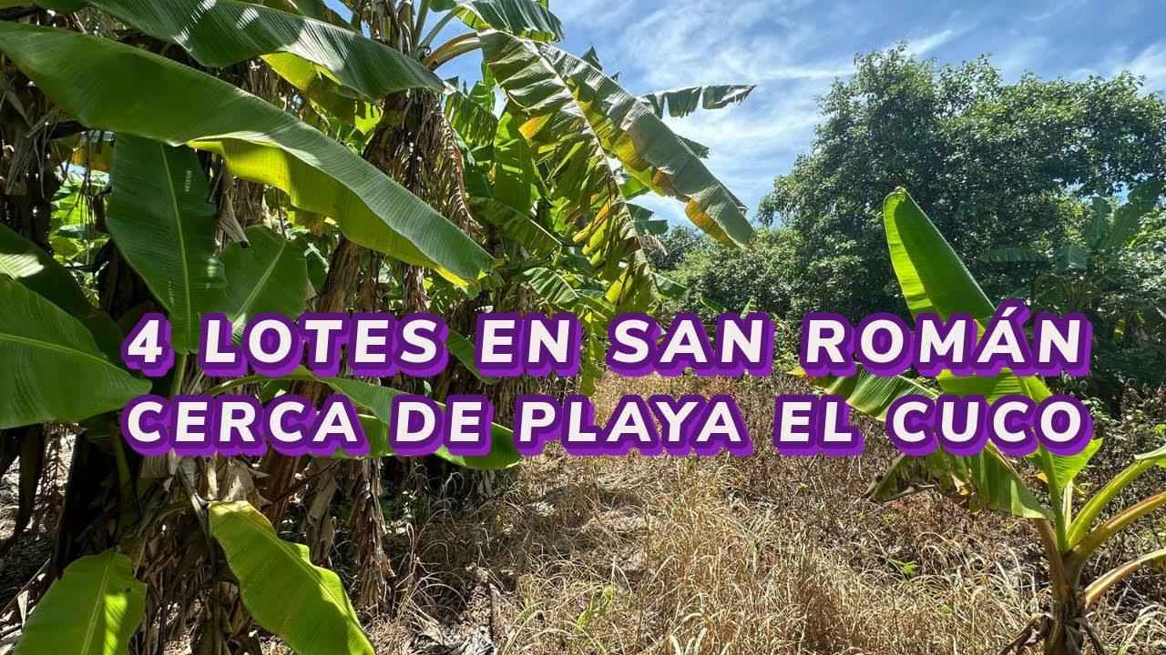 Se Venden 4 Lotes en Hacienda San Román Playa El Cuco San Miguel $20,000 por lote Tel +503 7299-8557