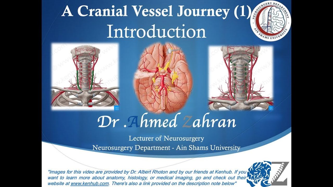 A Cranial Vessel Journey (1): Introduction