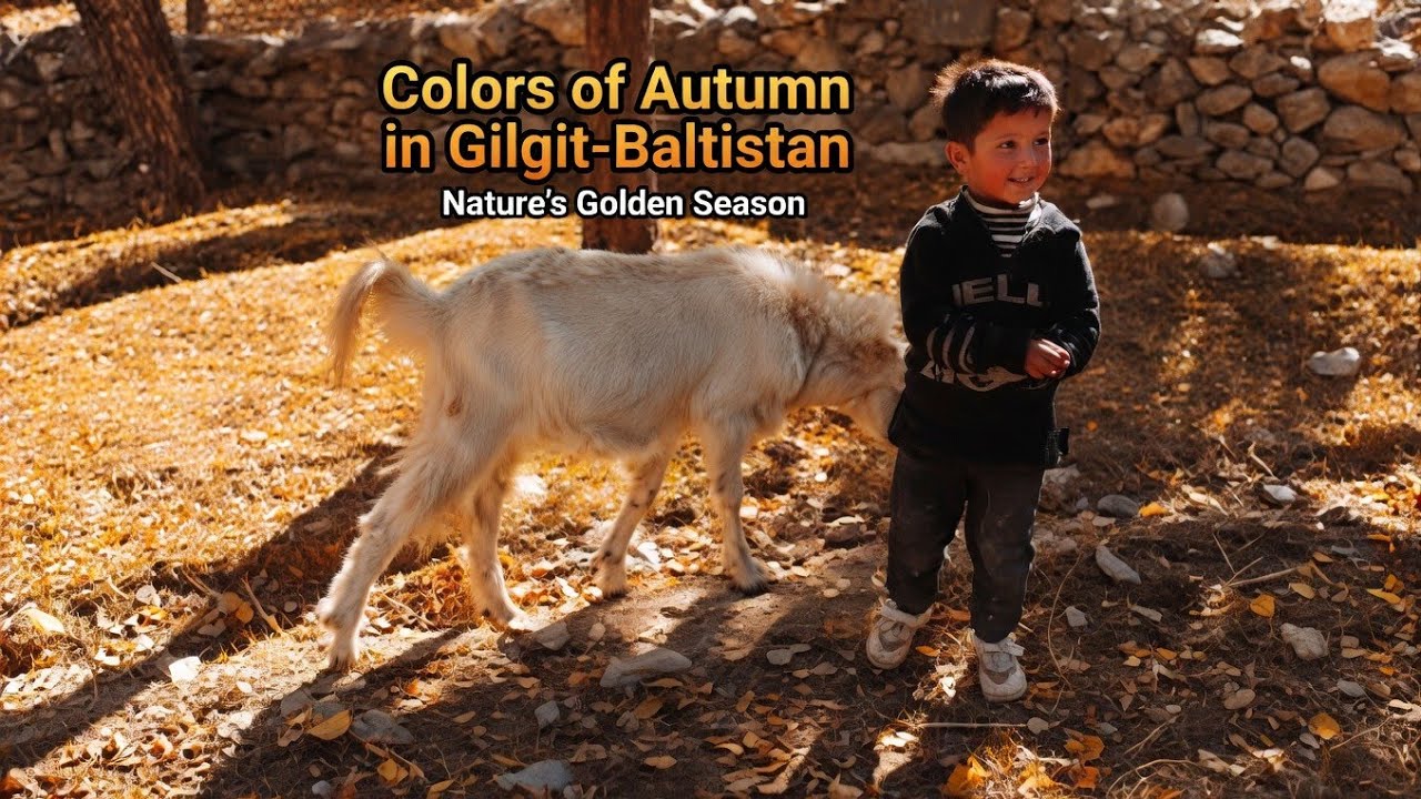 Colors of Autumn in Gilgit-Baltistan | Nature’s Golden Season