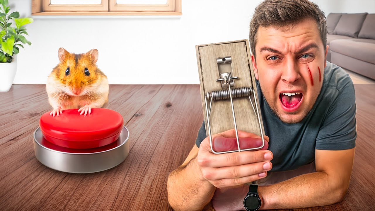 CHOMIK DECYDUJE O MOIM CAŁYM DNIU!