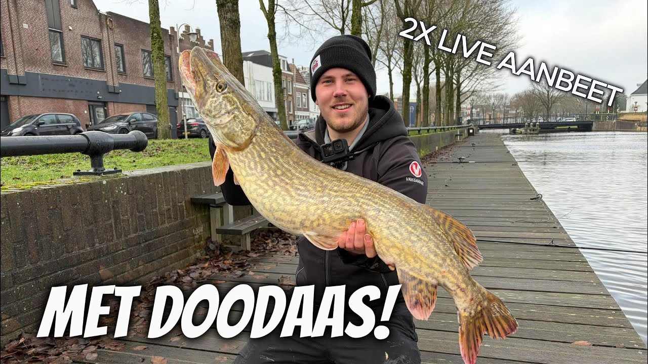 KORTE DOODAAS SESSIE! (+ BONUSCLIP)