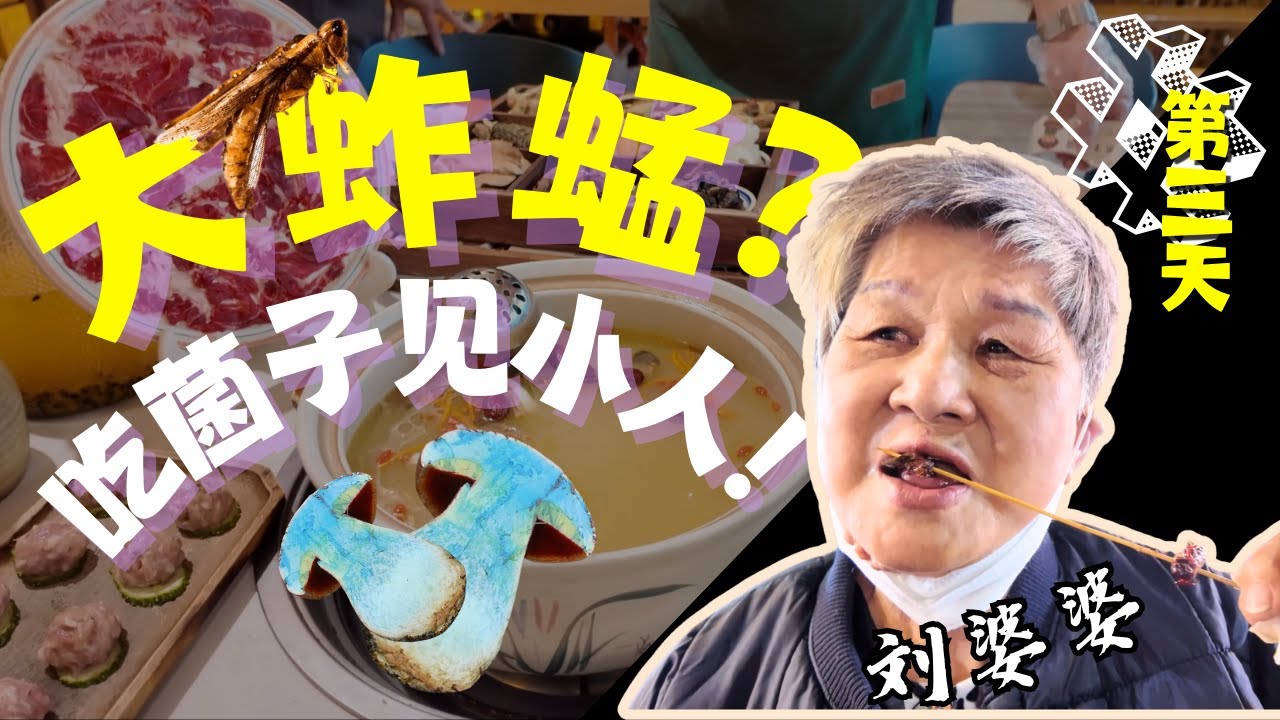 带婆婆玩转云南！婆婆挑战吃蚱蜢吓到尖叫？！云南洱海龙洞＋风琴岛超美路线｜吃野生菌火锅差点“见小人”｜Grandma’s Yunnan Adventure + Grasshopper Challenge