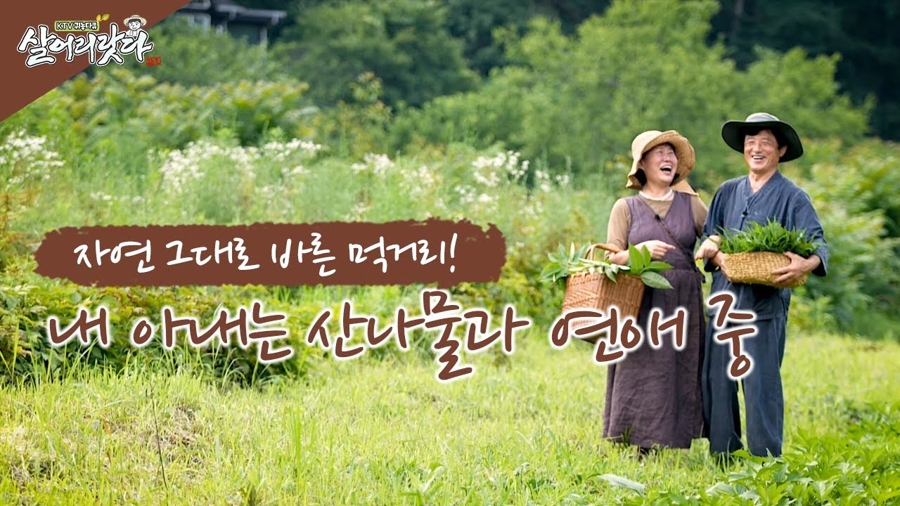 (충북 충주) 6만 평 부지에서 내 아내는 산나물과 연애 중! ktv, korea tv, bts, wild green (임병문 & 박영규 귀농인)(시즌3)