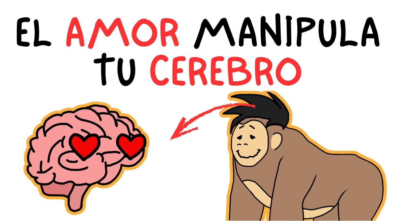 Cómo tu cerebro te engaña cuando te enamoras