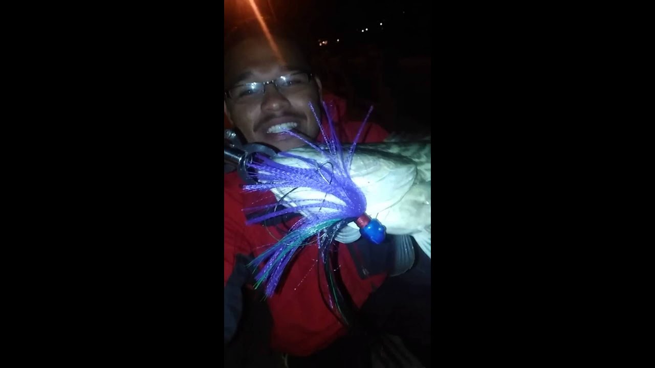 West coast gag grouper on flairhawk