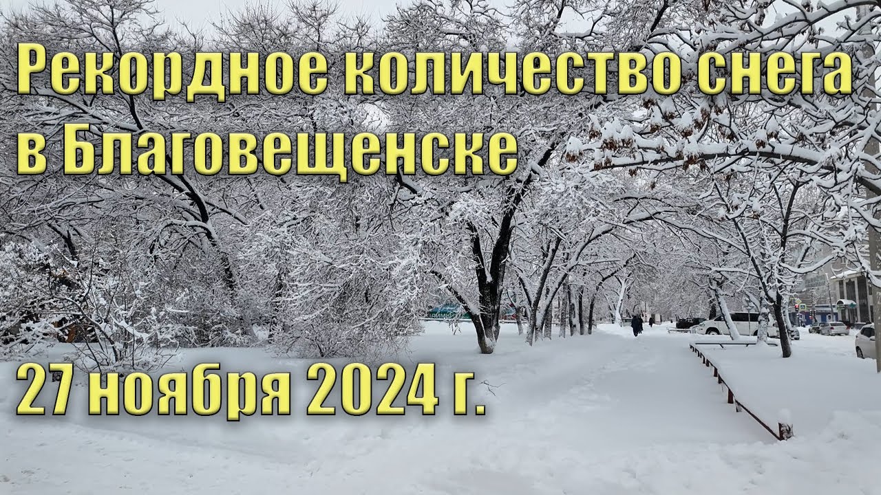 Рекордное количество снега в Благовещенске. 27 ноября 2024 г.