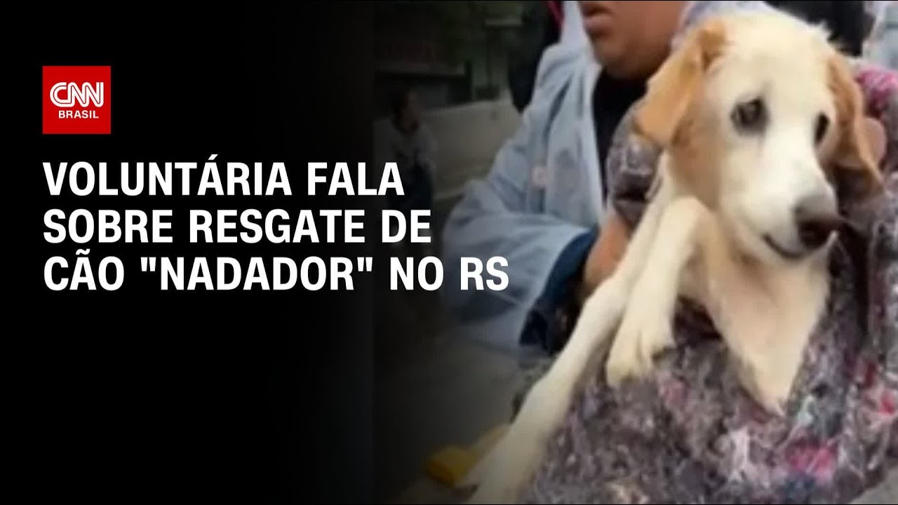 Voluntária fala sobre resgate de cão 