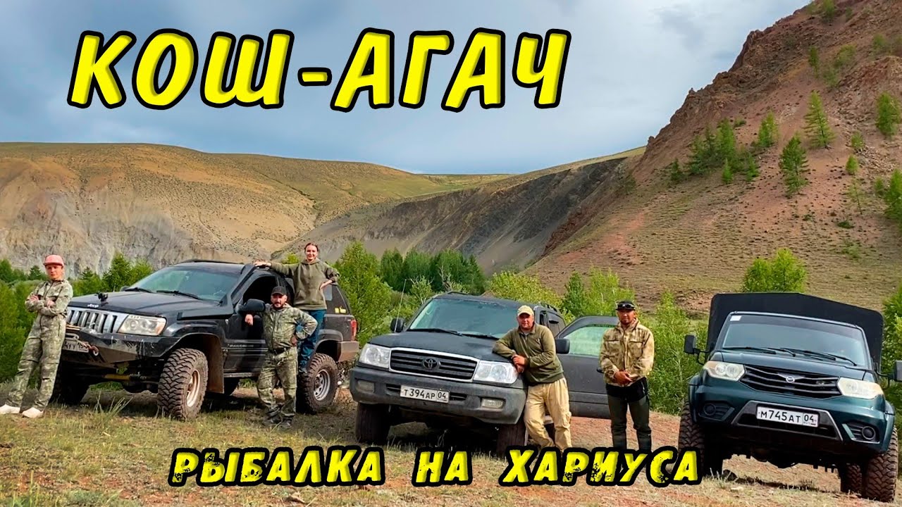 По Горным тропам АЛТАЙСКИХ Легенд! Настоящий АЛТАЙ! КОШ-АГАЧ Рыбалка на Хариуса у границ с Монголией