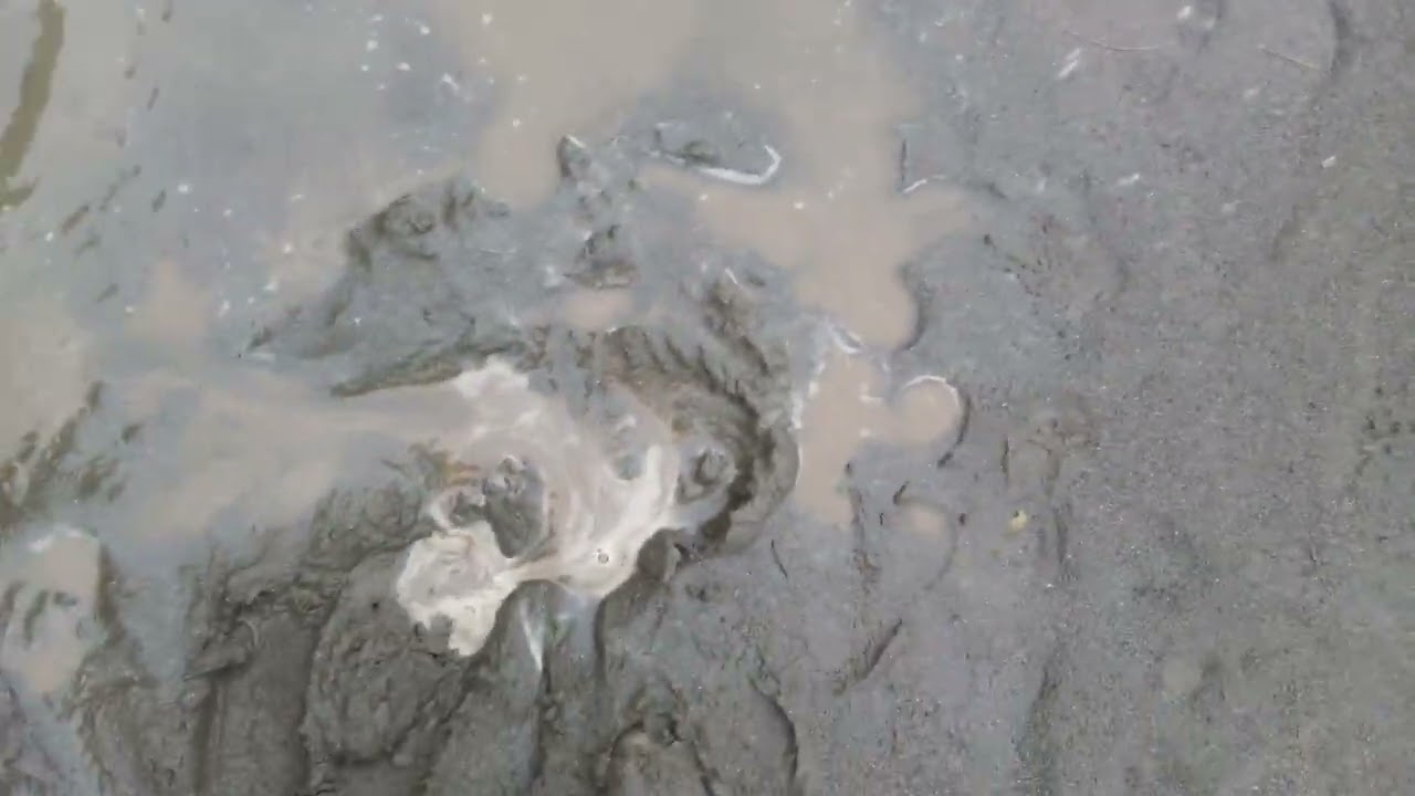 Muddy Socks 2