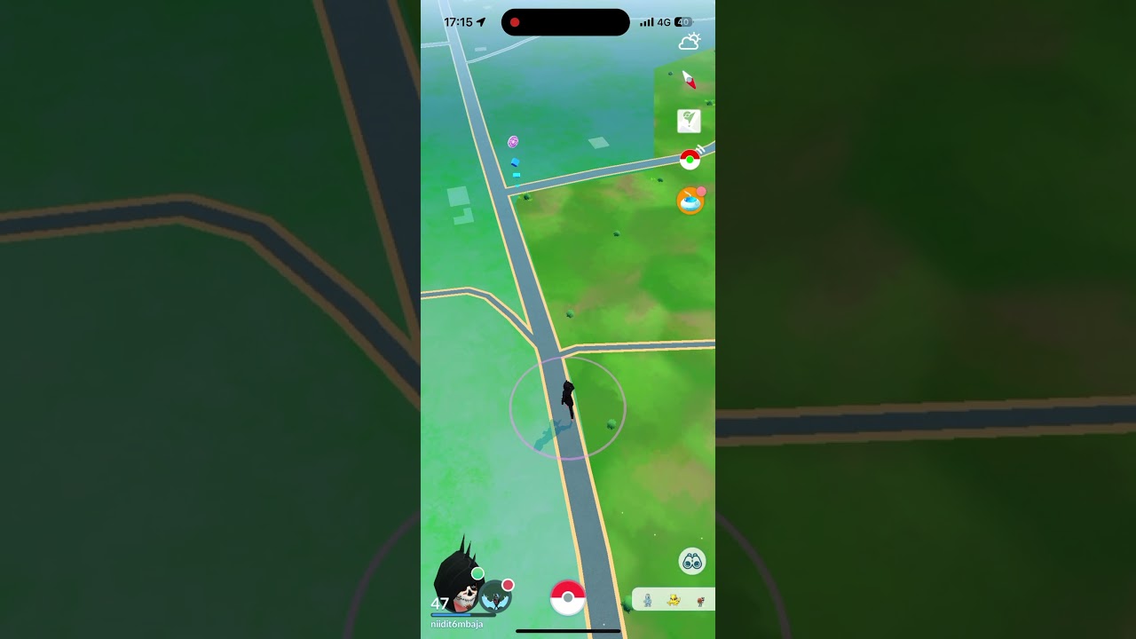 Duomon 3 problem