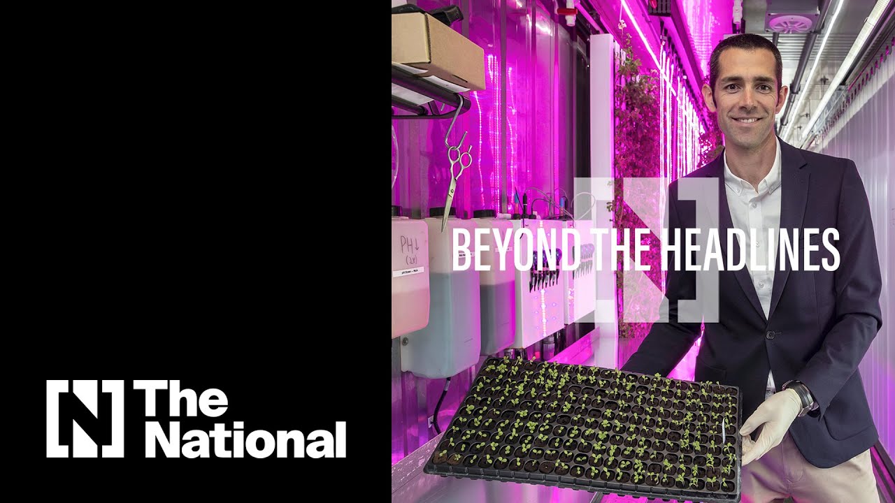 Podcast: How the UAE built its food security strategy