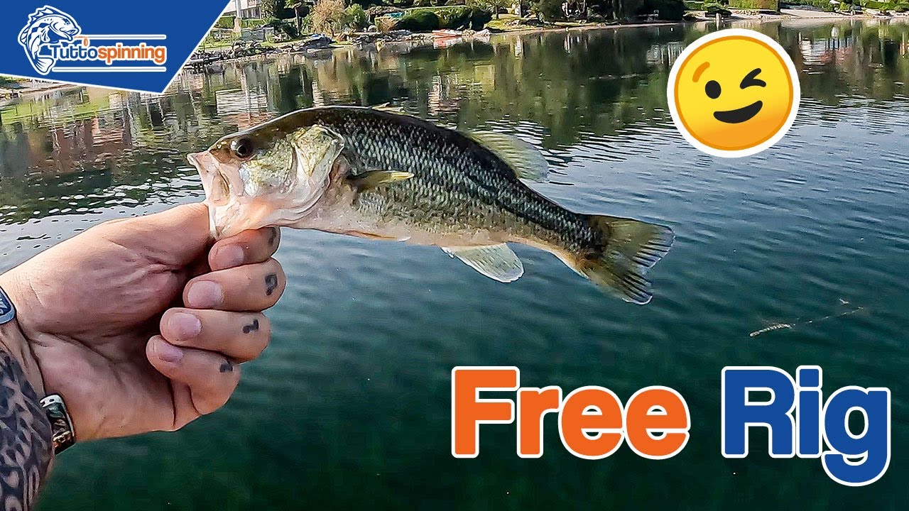 FREE RIG per il BLACK BASS sul LAGO di VIVERONE