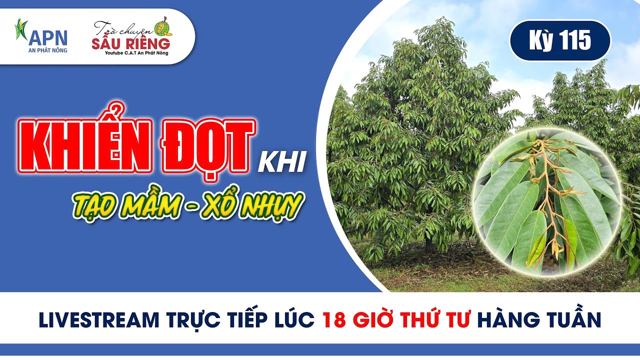 APN - KHIỂN ĐỌT KHI TẠO MẦM – XỔ NHỤY | KỲ 115