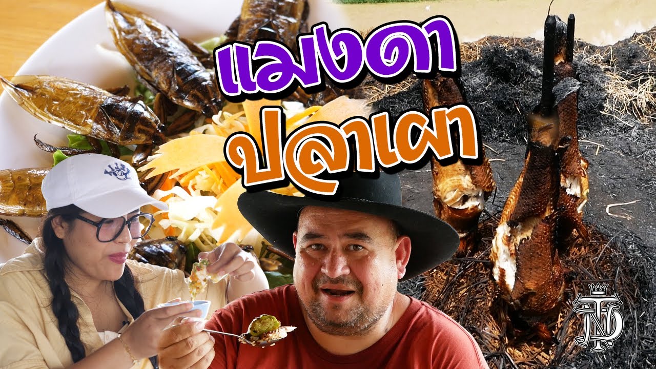 หม่อมถนัดแดก | แมงดา ปลาเผา | แมงดาโคตรดี ปลาเผาโคตรได้!!