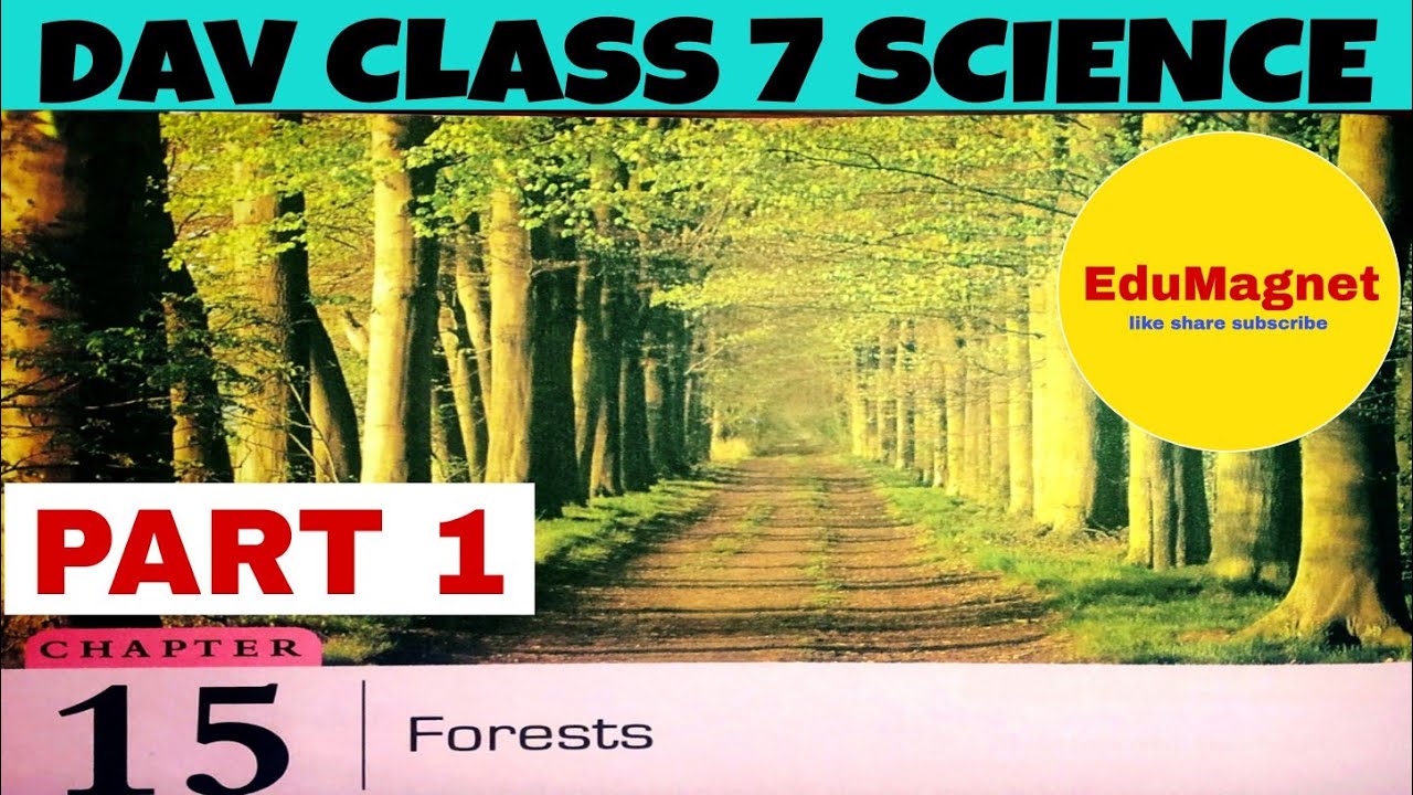 DAV CLASS 7 SCIENCE CHAPTER 15 FORESTS|| EXPLANATION PART 1 | EDUMAGNET