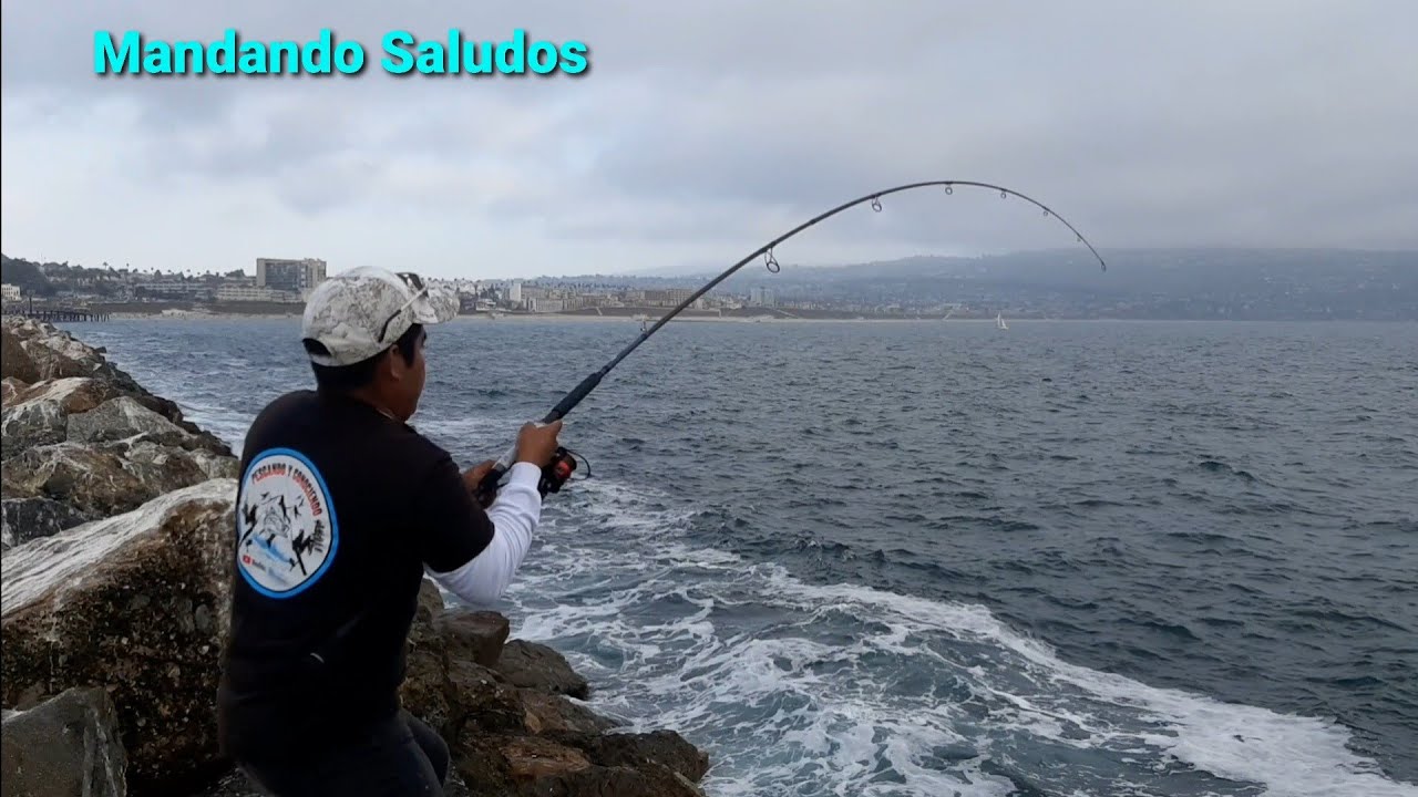 pescando en las rockas de redondo beach california| calico y sandbass 👌🐟🎣