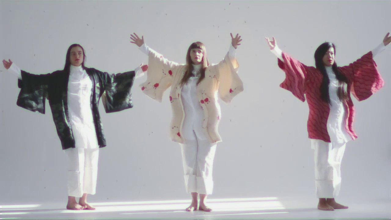 JENNIE ABRAHAMSON ::: BLOODLINES (visual art)