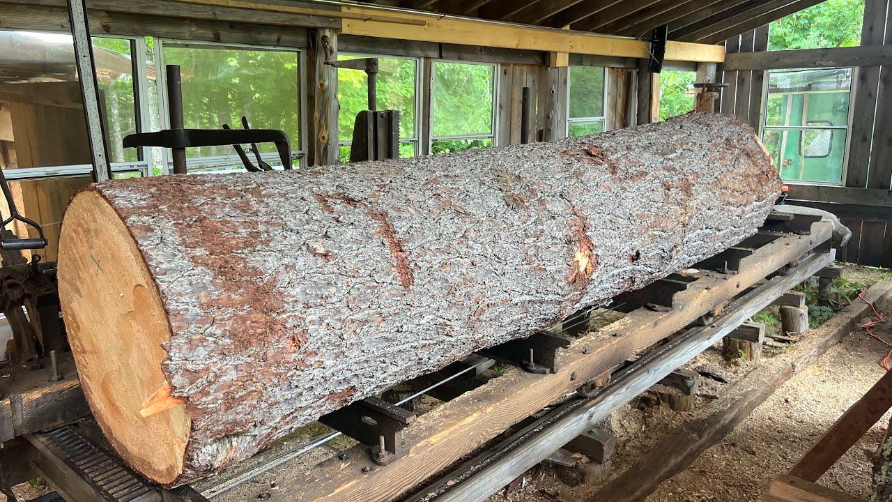 One Log 215 Board Feet