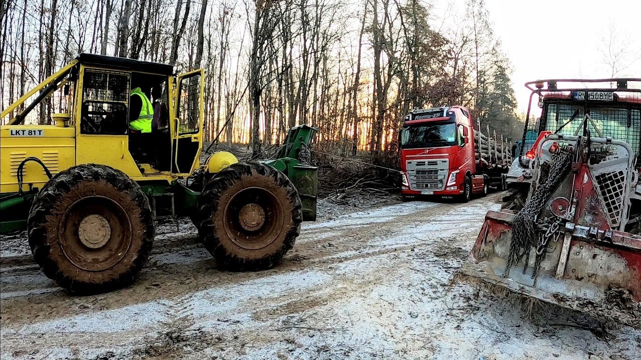 LKT 81 Turbo ťahá naložené Volvo a ťažba borovíc novom poraste, Forestwork, Logging, felling, Amles