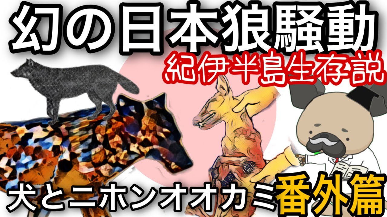 紀州狼生存説〜犬とニホンオオカミ番外篇〜生存説を探る!第3弾紀伊半島篇